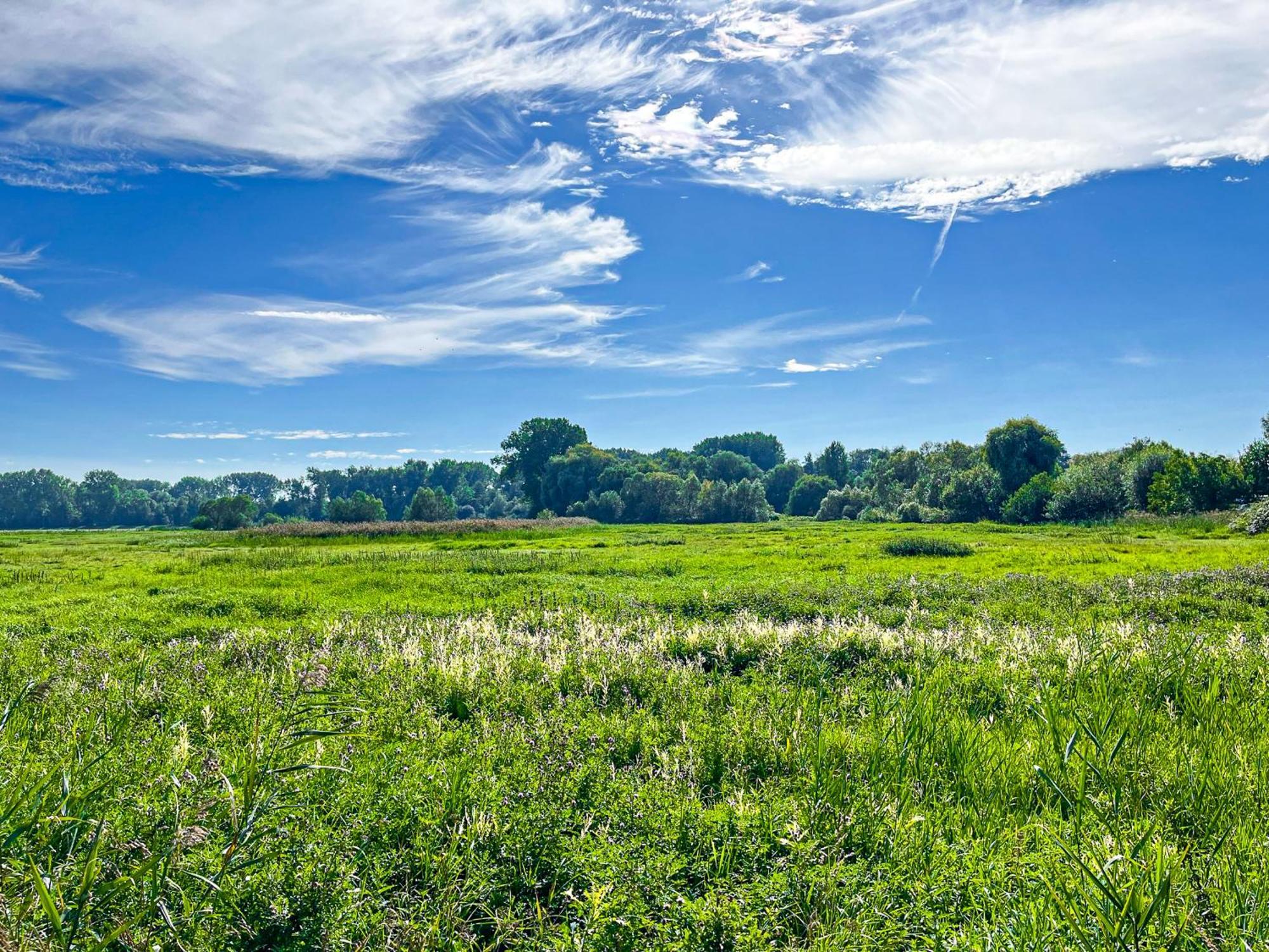 Haffblick Wohnung 41 Boltenhagen  Exteriér fotografie